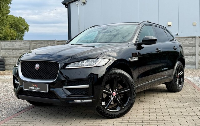 jaguar